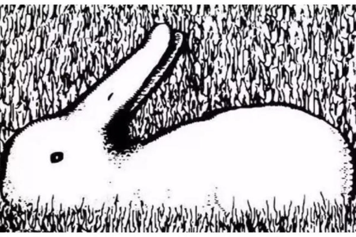 Duck or rabbit? The first animal you see could reveal whether you're a generous person.